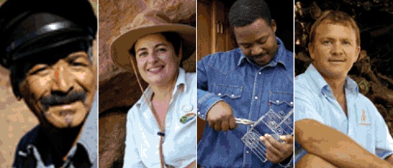 Staff mentorship program for the Cape Winelands District Municipality