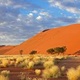 Strategic and Institutional Recommendations for Namibia's National Sustainable Tourism Growth Strategy