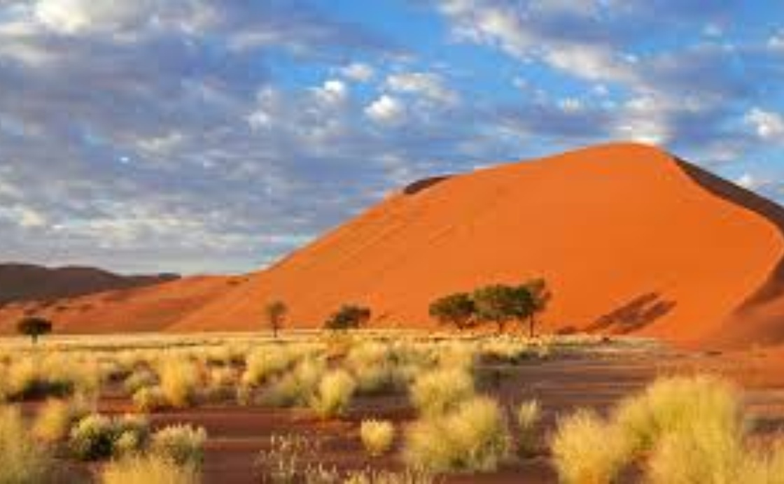 Strategic and Institutional Recommendations for Namibia's National Sustainable Tourism Growth Strategy